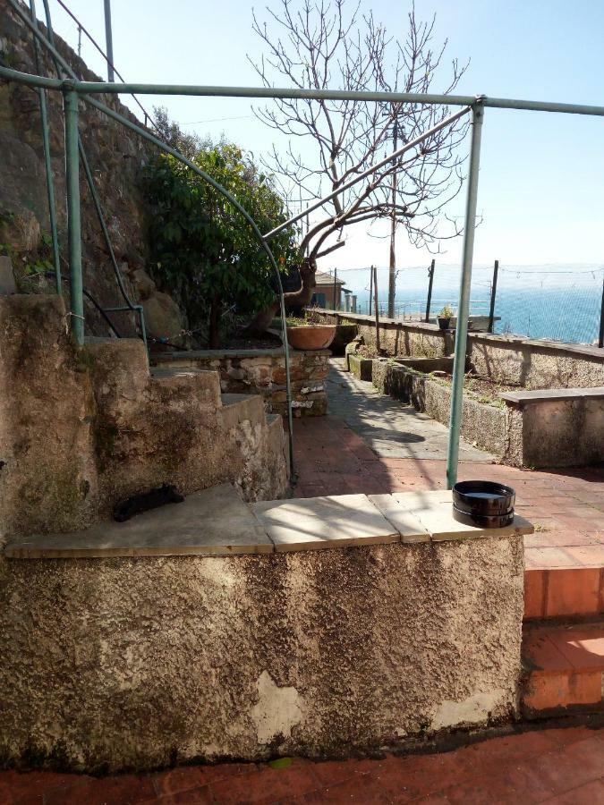 제노바 Casa Picasso 아파트 외부 사진